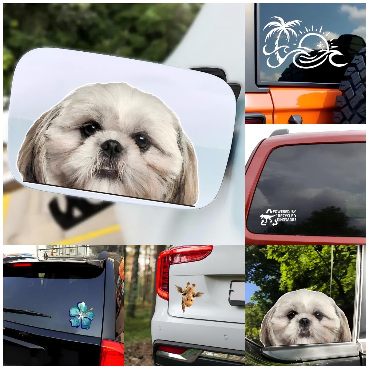 Elephant Snowboarder Car Eye C - Laptop Accessories You Must Have recension och pris